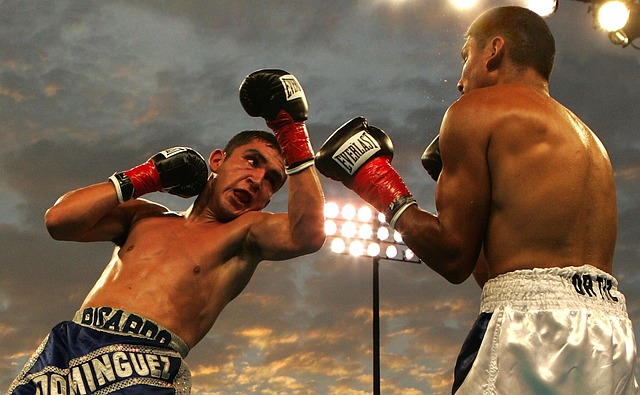 Betting on MMA
